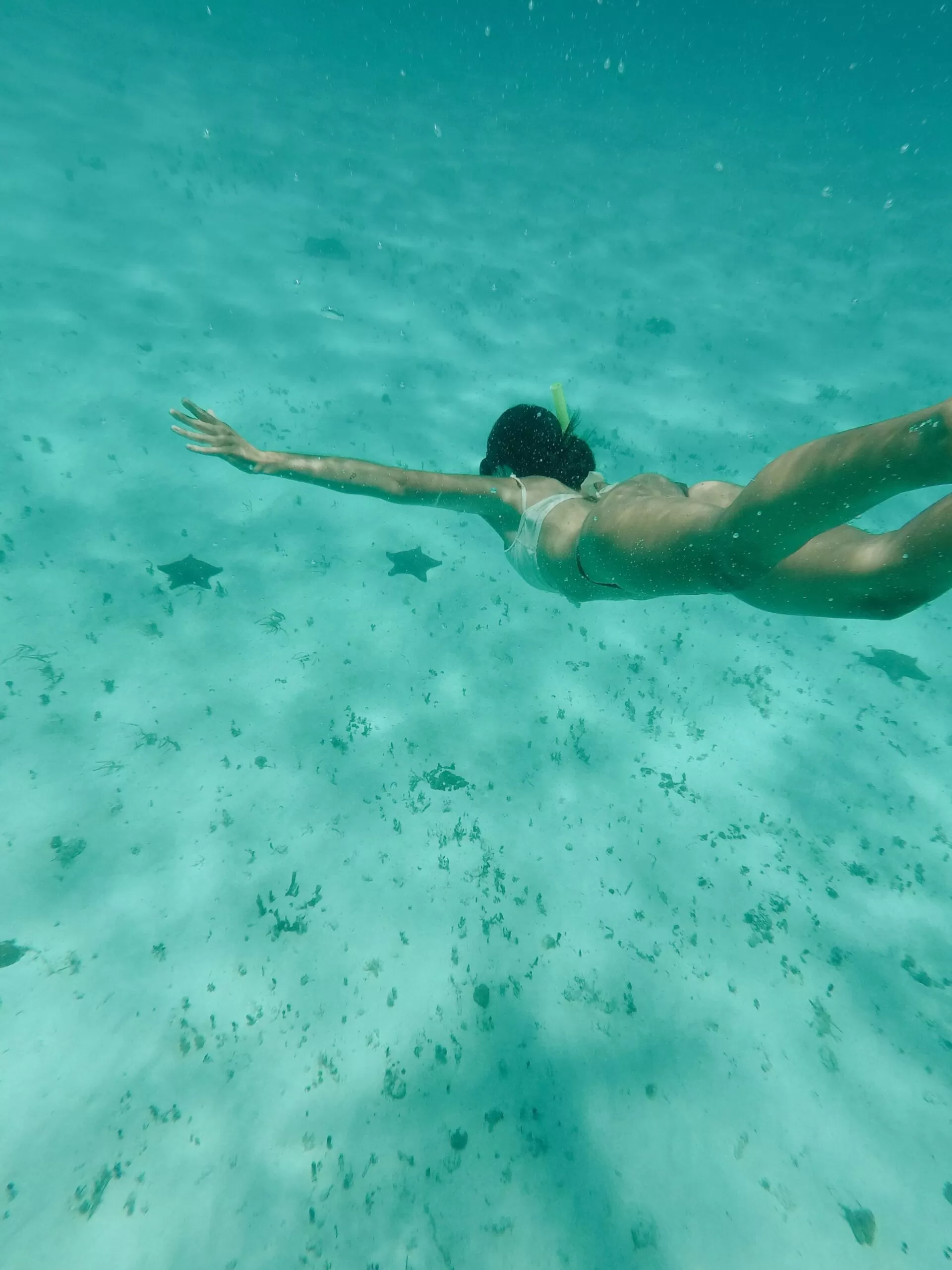 foto abajo del agua. se ven estrellas de mar a lo lejos. agua transparente y turquesa