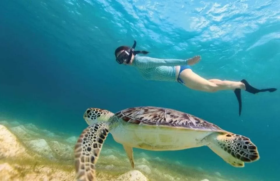 se ve una niña nadando con snorkel en el mar al lado de una tortuga