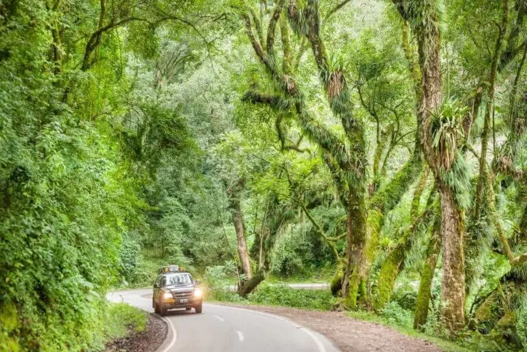 salta, norte argentino, argentina, jujuy, arg, noa, excursiones en salta