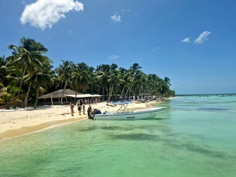 foto de la isla saona, punta cana, republica dominicana. foto tomada desde un barco, se ve la playa, el agua verde transparente y las palmeras en la playa