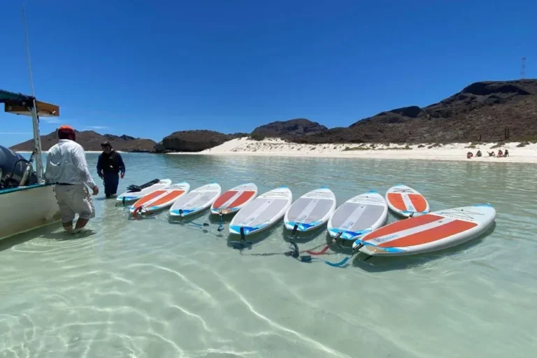 varios paddle boards en el medio del mar transparente