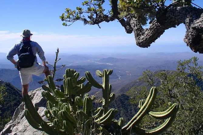 hombre parado en una montaña de la biosfera de la laguna. se ve un cactus grande y una vista incrieble